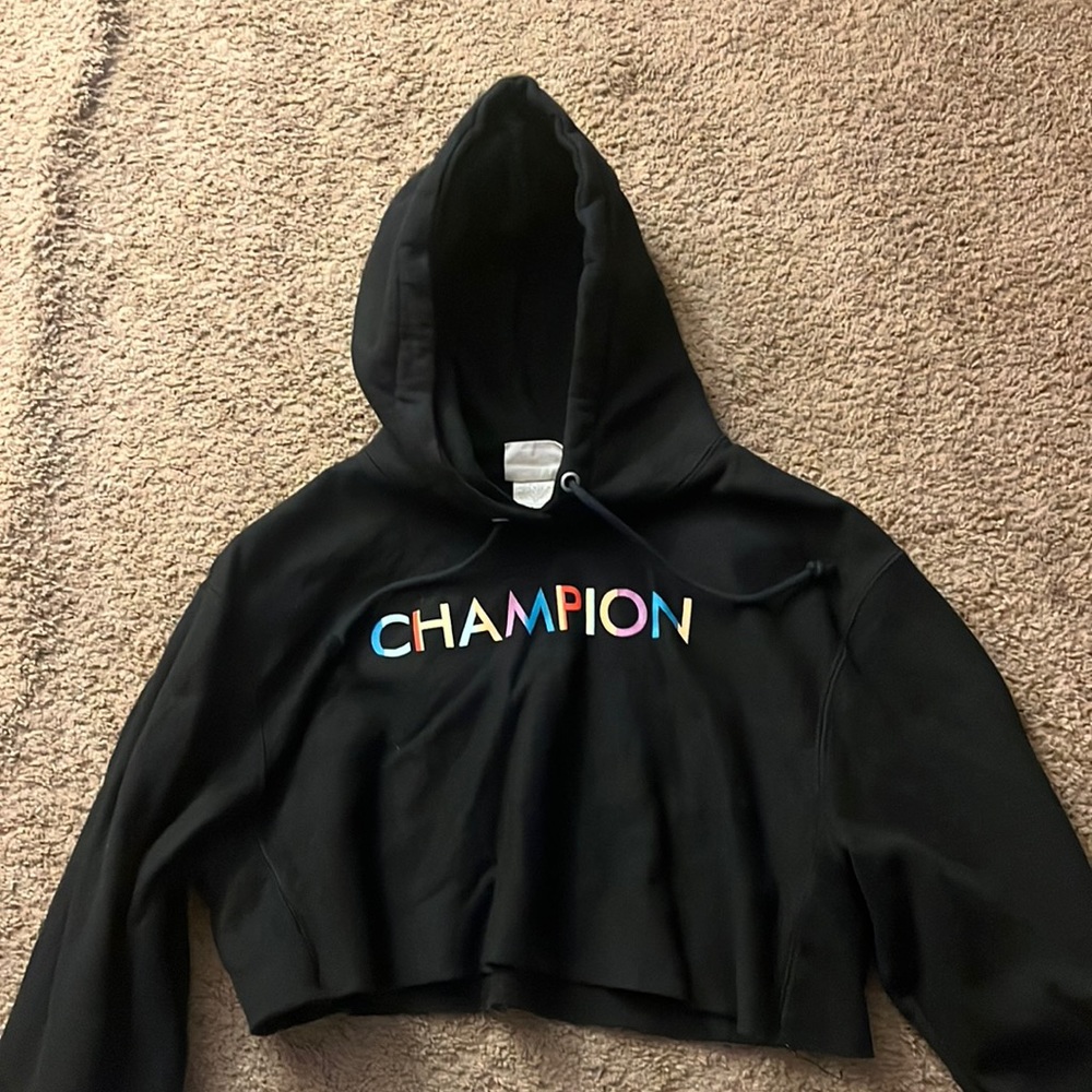 Champion sweatshirt with rainbow lettering never worn